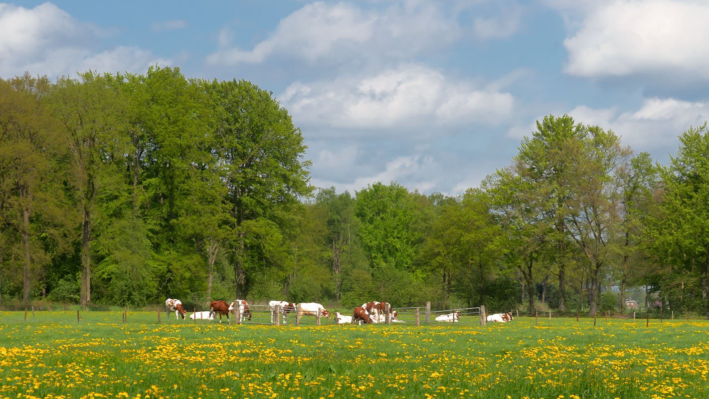 coulissenlandschap - Jan Hof